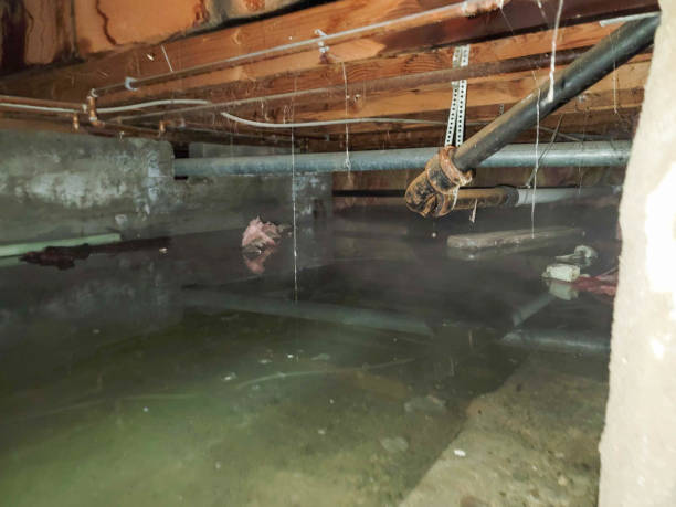 Best 24/7 water damage repair  in Brewton, AL
