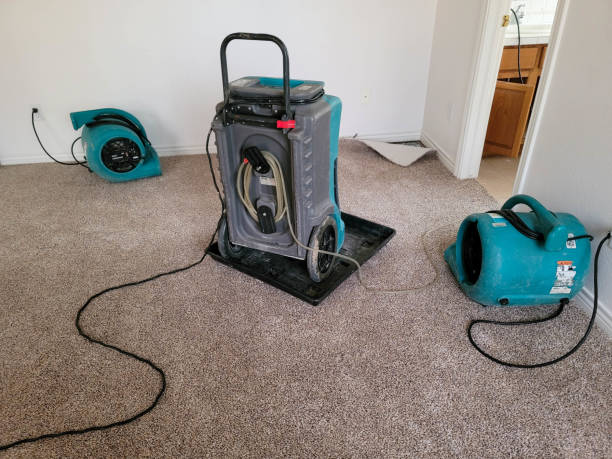 Best Mold removal after water damage  in Brewton, AL