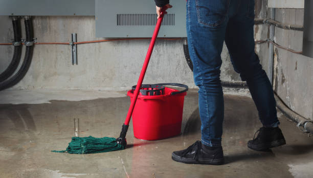 Best Flood restoration services  in Brewton, AL