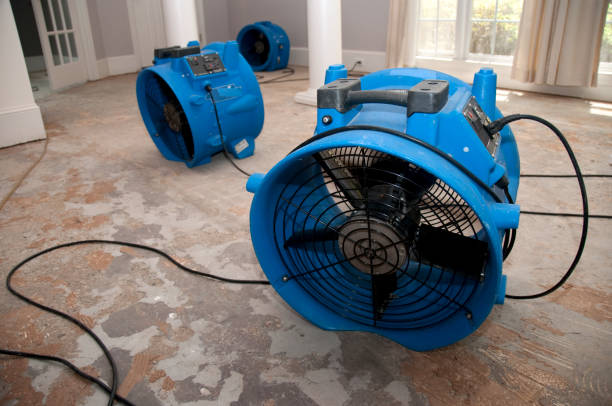  Brewton, AL Water damage restoration Pros