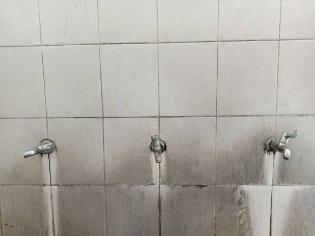 Best Professional water damage repair  in Brewton, AL
