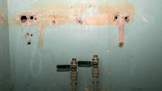 Professional Water damage restoration in Brewton, AL
