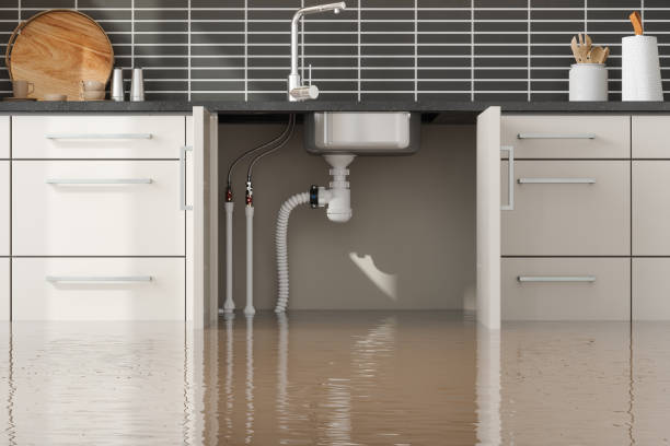 Water damage restoration mold remediation in Brewton, AL