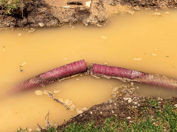 Best Water damage restoration services  in Brewton, AL