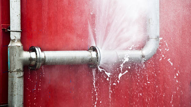 Best Water damage restoration mold remediation  in Brewton, AL